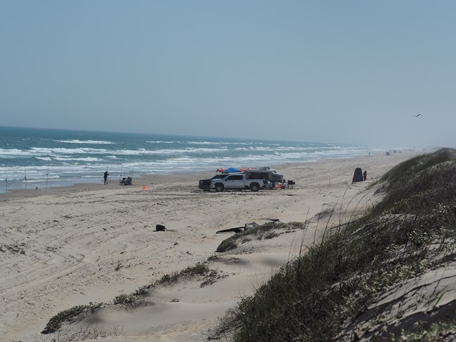 Camping on the beach