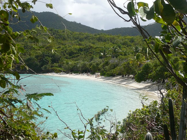View from the trees looking down on a beach with blue water and mountains in the background.