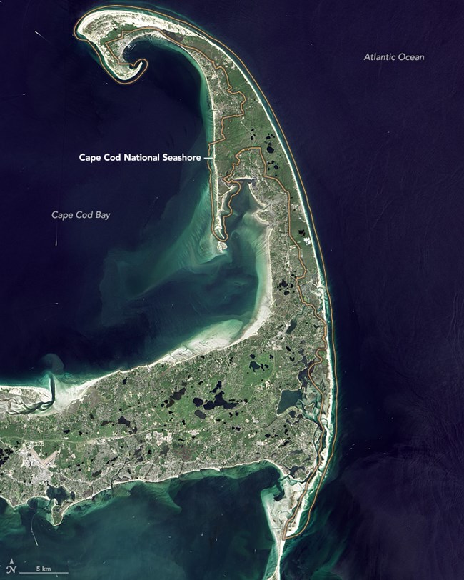 A satellite image of Cape Cod National Seashore.