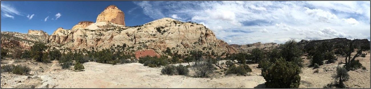 View of tan rock features and scattered, green pinyon-juniper vegetation under a blue sky.
