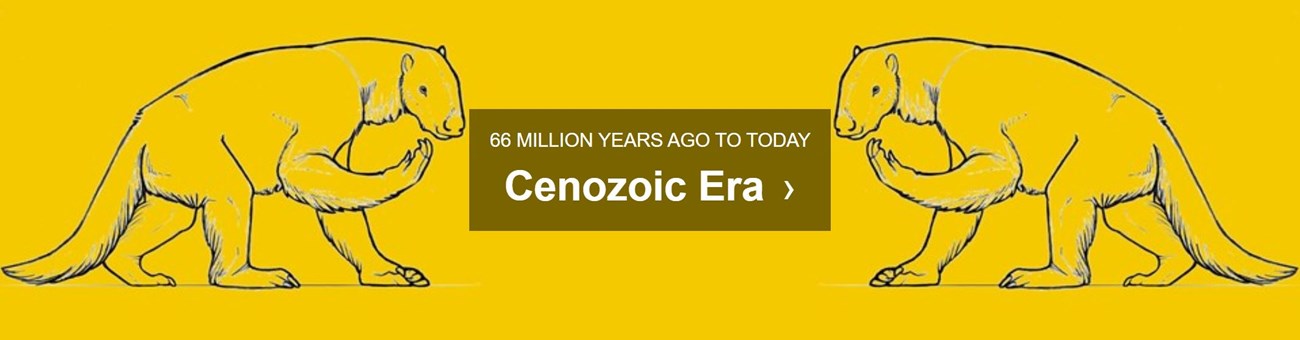 yellow background with test cenozoic era 66 MILLION TO 11,700 YEARS AGO