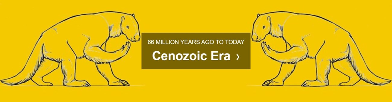 Cenozoic Era (. National Park Service) Cenozoic Era (. National Park Service)