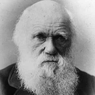 charles-darwin-9266433-1-402 close up picture of an old gentleman with white hair and beard