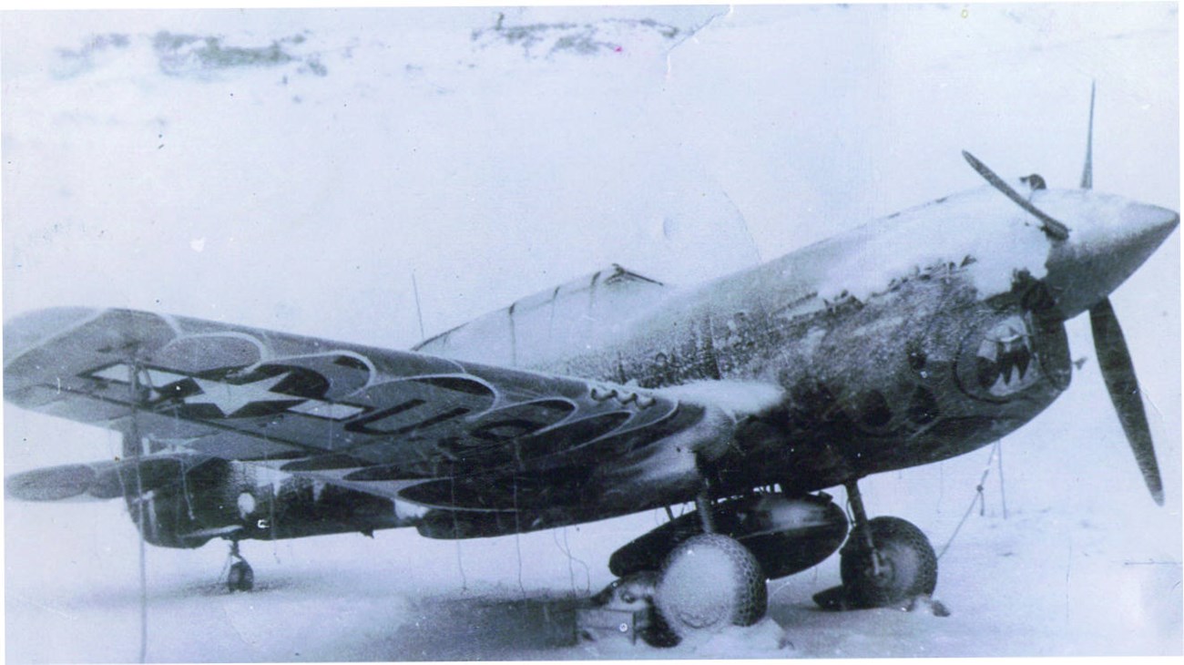 Frozen Tiger Plane covered with ice and snow, sitting on a runway.
