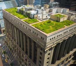 aerial view of a green roof