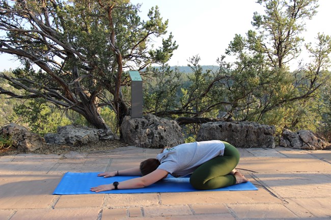 Canyon Tree Frog Pose