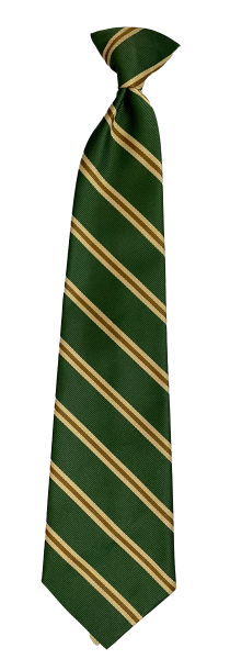 Green, brown, and gold striped necktie