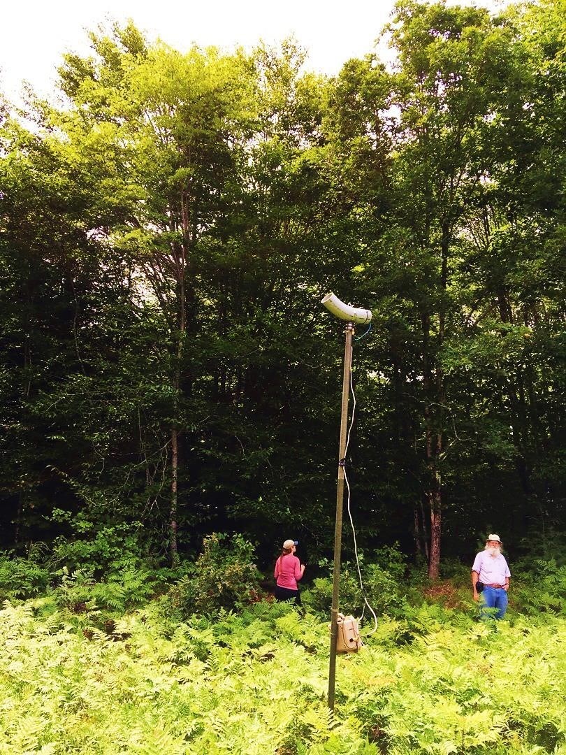 Sample deployed acoustic detector for bat survey Photo by RH Lord