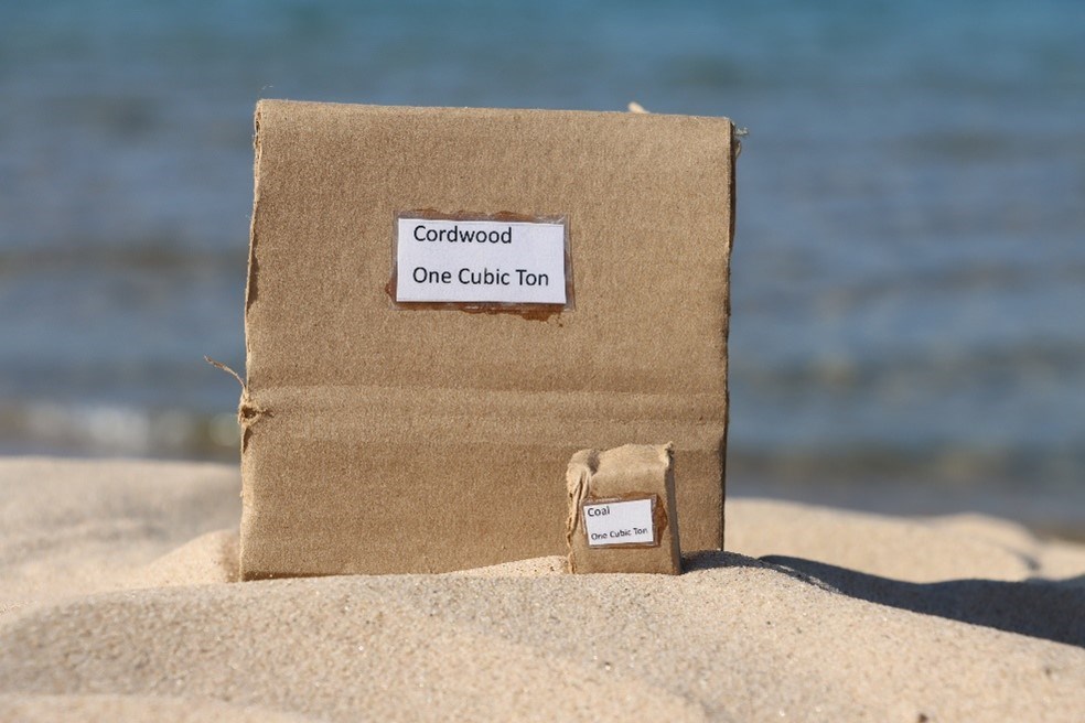 A sandy beach with blue water behind it. A large carboard cube sits on the beach, with a label that says “Cordwood One Cubic Ton”. In front of the large cube is a much much smaller cardboard cube, that says “Coal One Cubic Ton.”