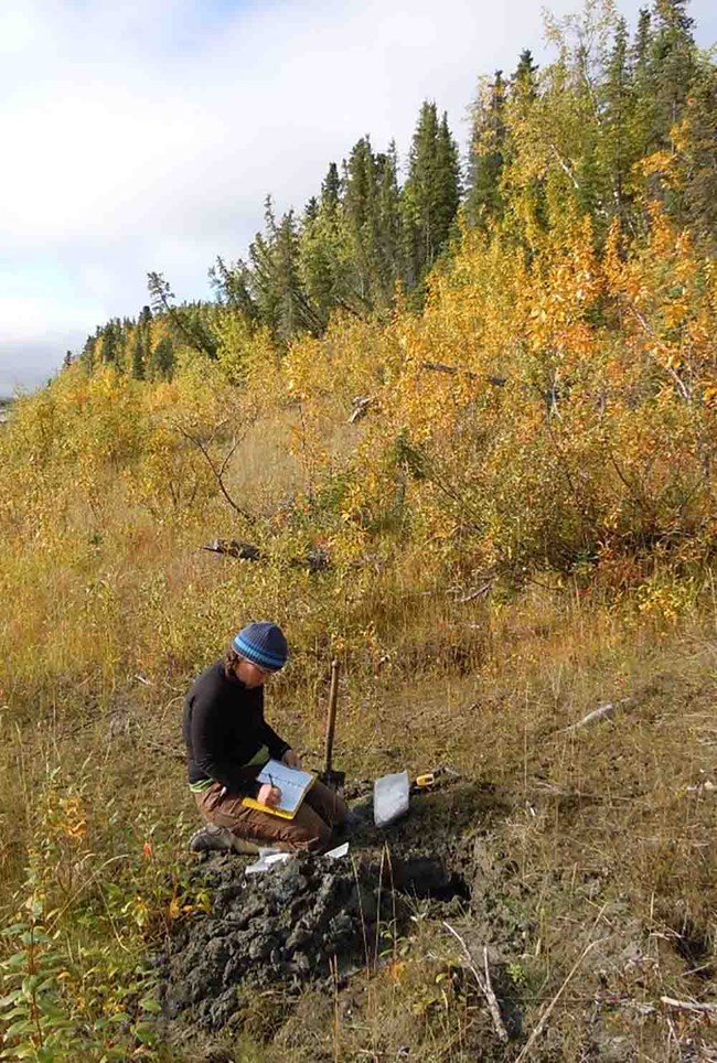 collecting samples_web A woman collects data on an archaeological dig on a stream-side slope in the fall.