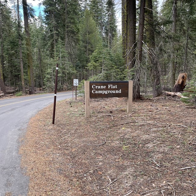 A campground sign is nestled within green trees