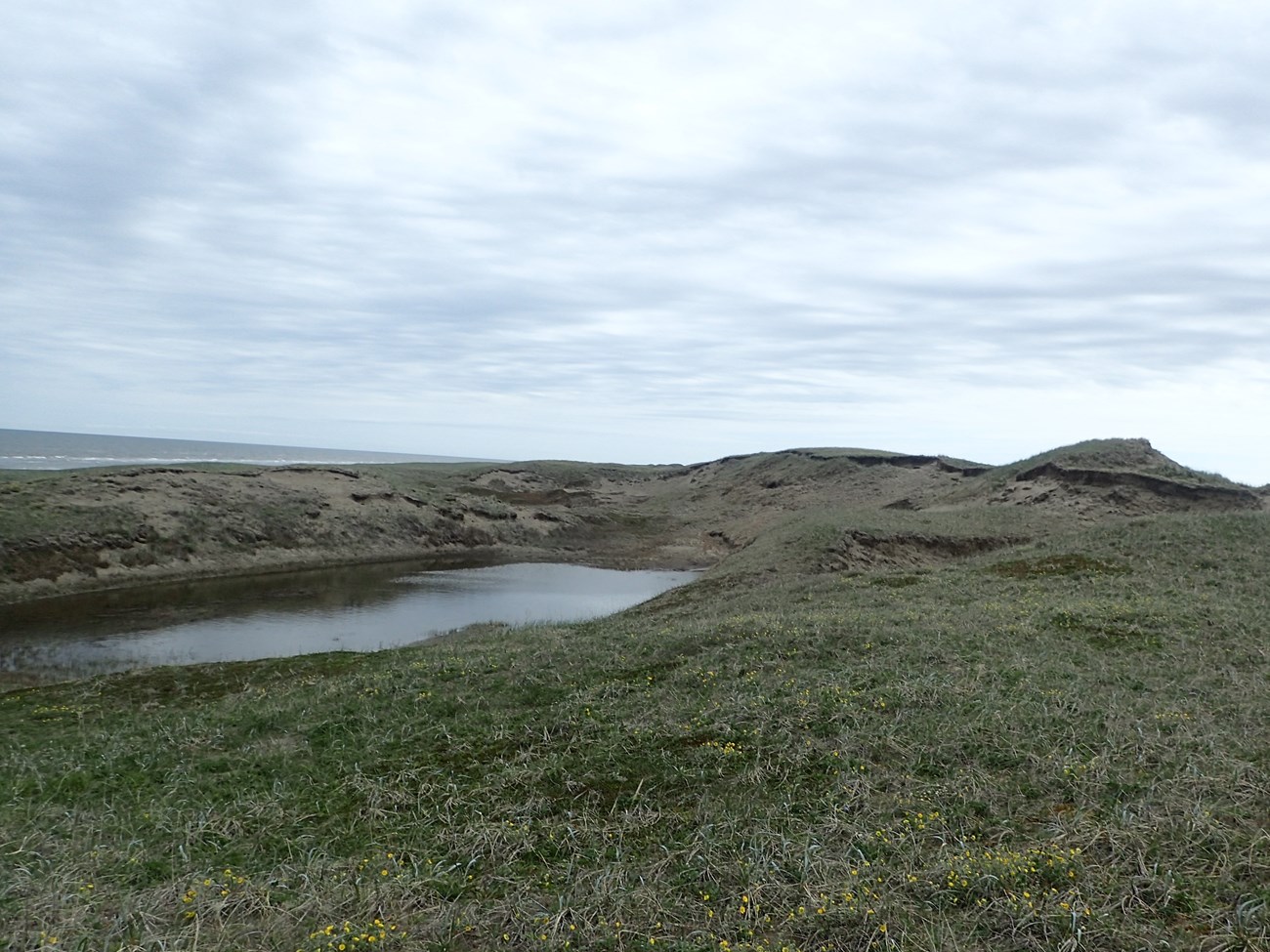 Coastal sand dune with shallow erosion pond