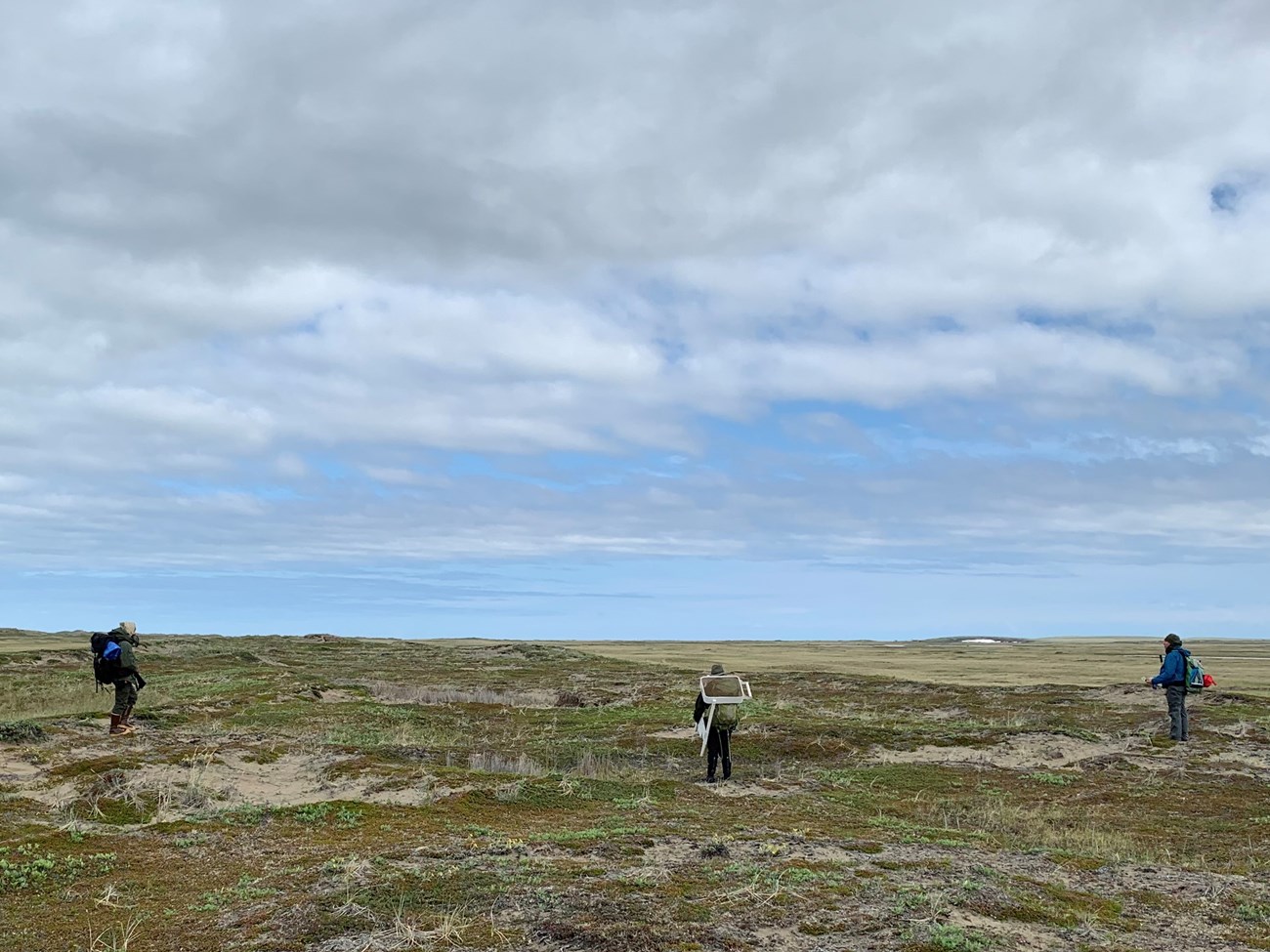 Three people carry backpacks and archeology equipment and walk across a wide, grassy beach ridge. Three people carry backpacks and archeology equipment and walk across a wide, grassy beach ridge.