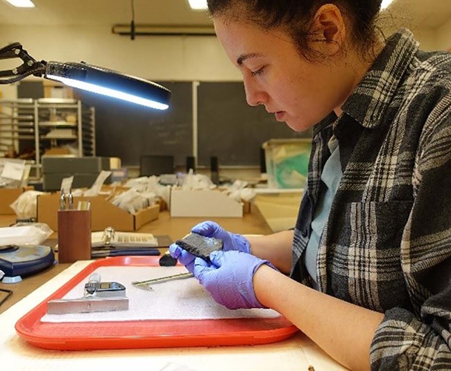 A woman examines pottery in museum curation.