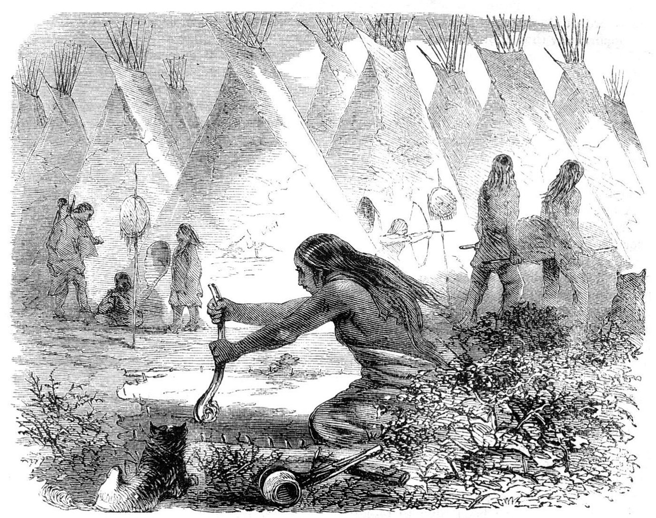 Native woman processing a buffalo robe.