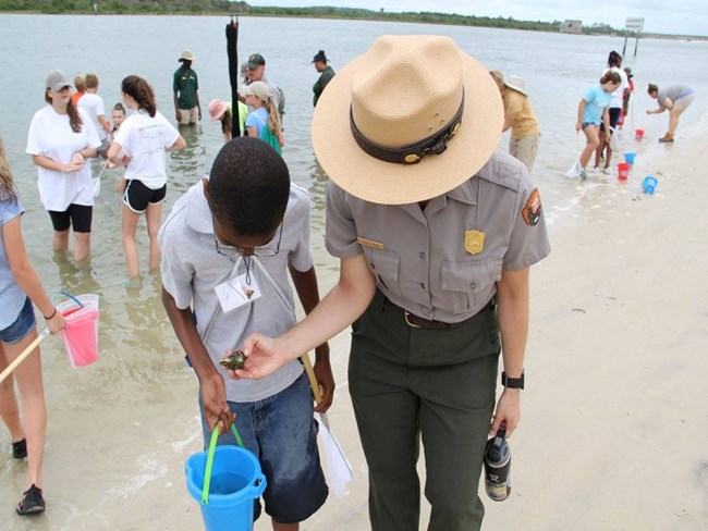 Ranger and young boy looking at something in a net.