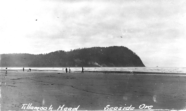 People walking on flat, sandy beach. Tree-covered mountain in background.