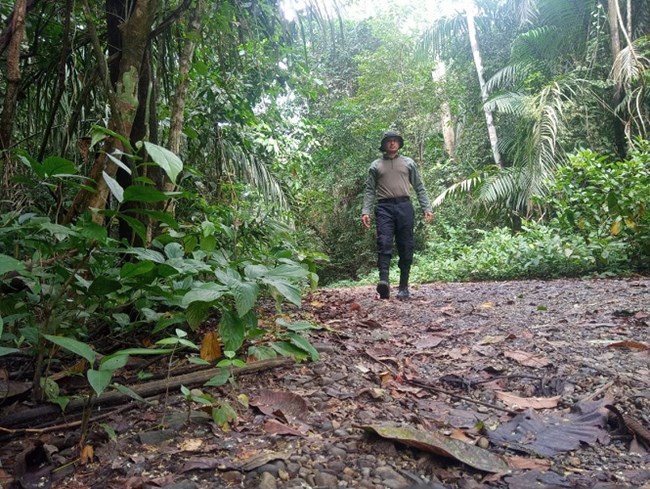man walking through a forest