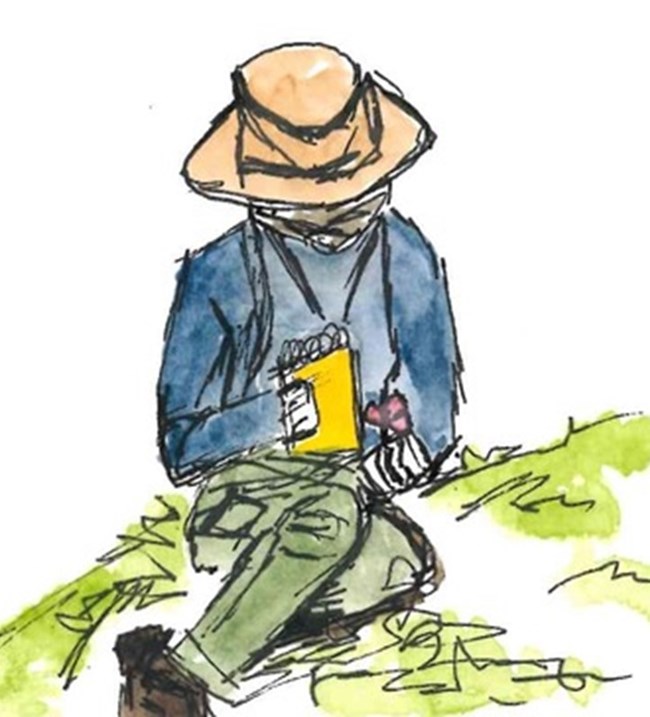 documenting change An illlustration of a researcher wearing a sun hat and holding a small notebook, sitting on the ground.