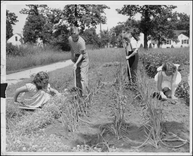 Black and white image of children working in a garden