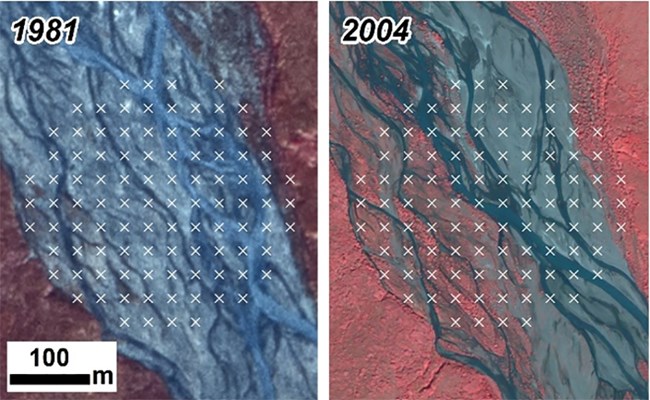 dyn-dis_web Paired imagery showing vegetation change along a river corridor/