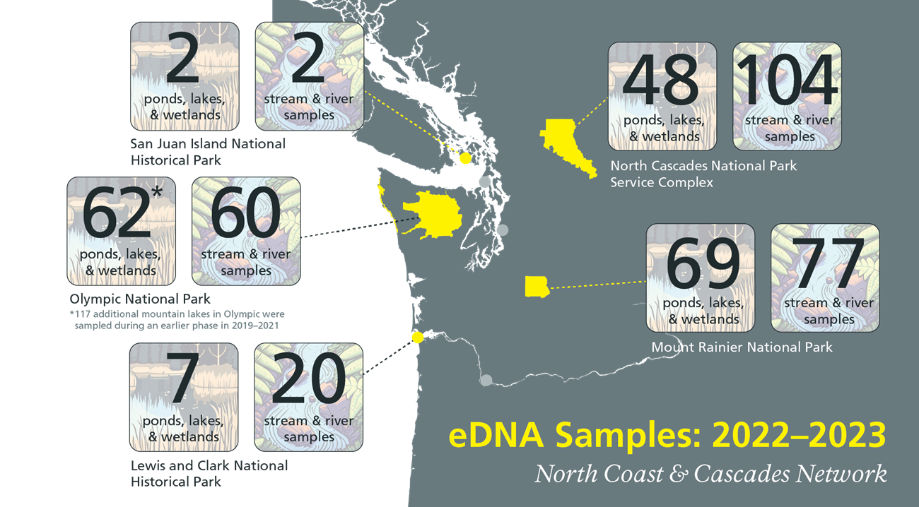 Infographic titled "eDNA Samples: 2022–2023." Alt text follows.