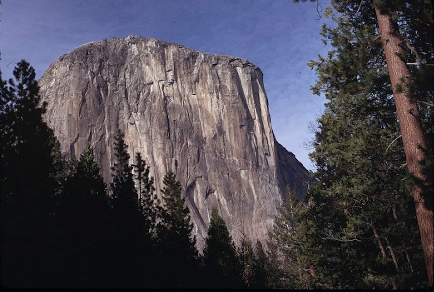 El Capitan El Capitan framed by tall trees with a blue sky in the background.