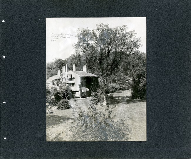Large tree towers over home on lawn