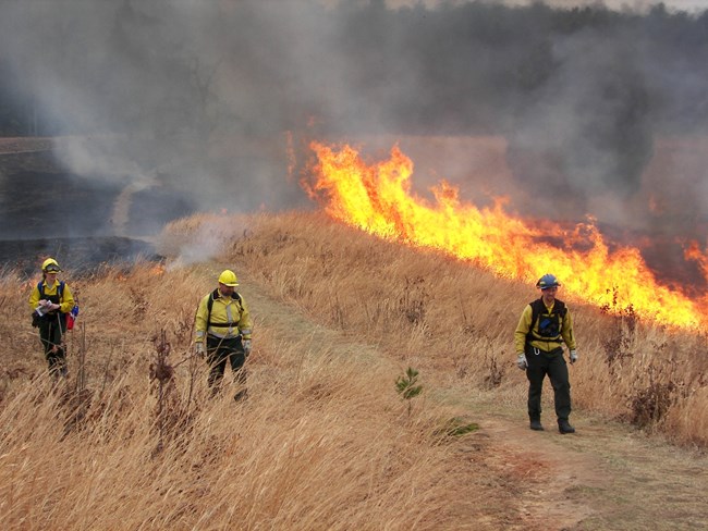 Several wildland firefighters near fire burning though tall grass Several wildland firefighters near fire burning though tall grass