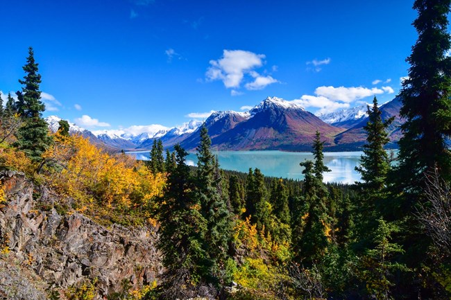 Overlook at Upper Twins A forest with bright yellow and green trees surrounds a turquoise lake with towering, snow capped mountains in the distance