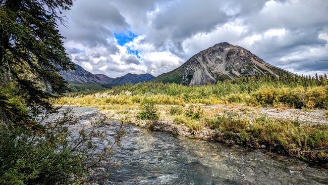Roaring Waters A creek with fast moving water cuts through a green landscape with a tall mountain in the background and a large spruce tree to the left.