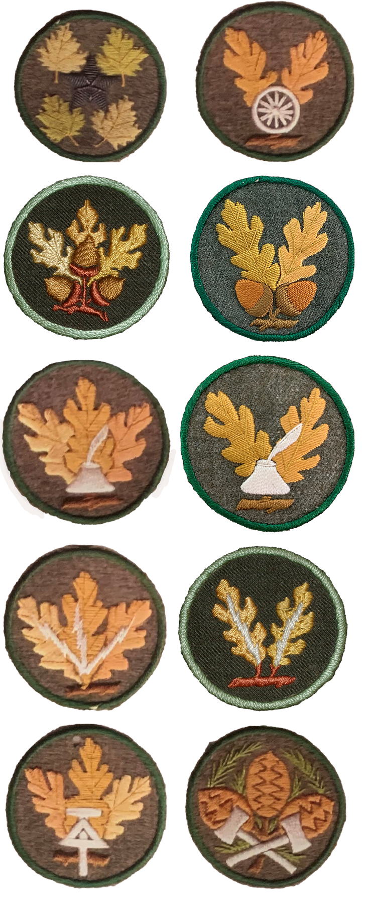 Ten patches with different officer insignia