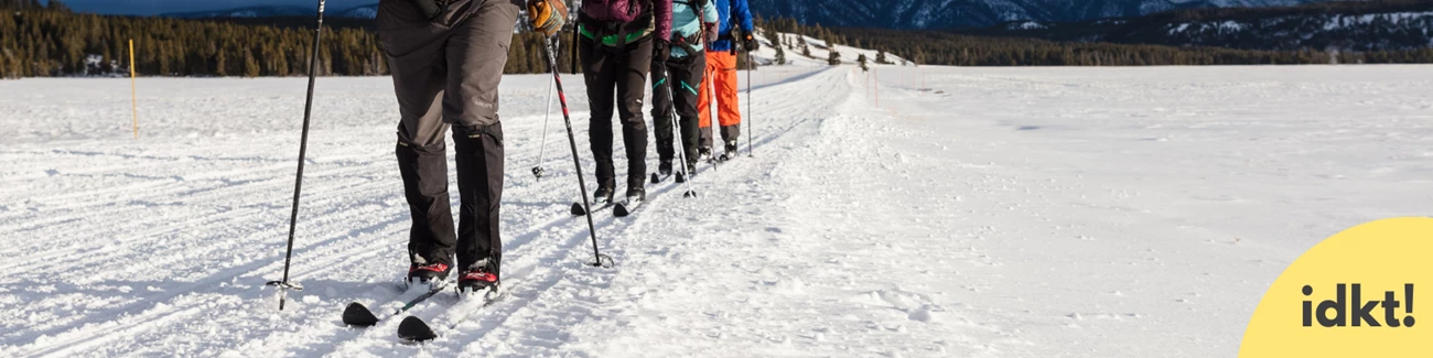 Exploring Nature in Winter close up of skier's skis as they ski through the snow