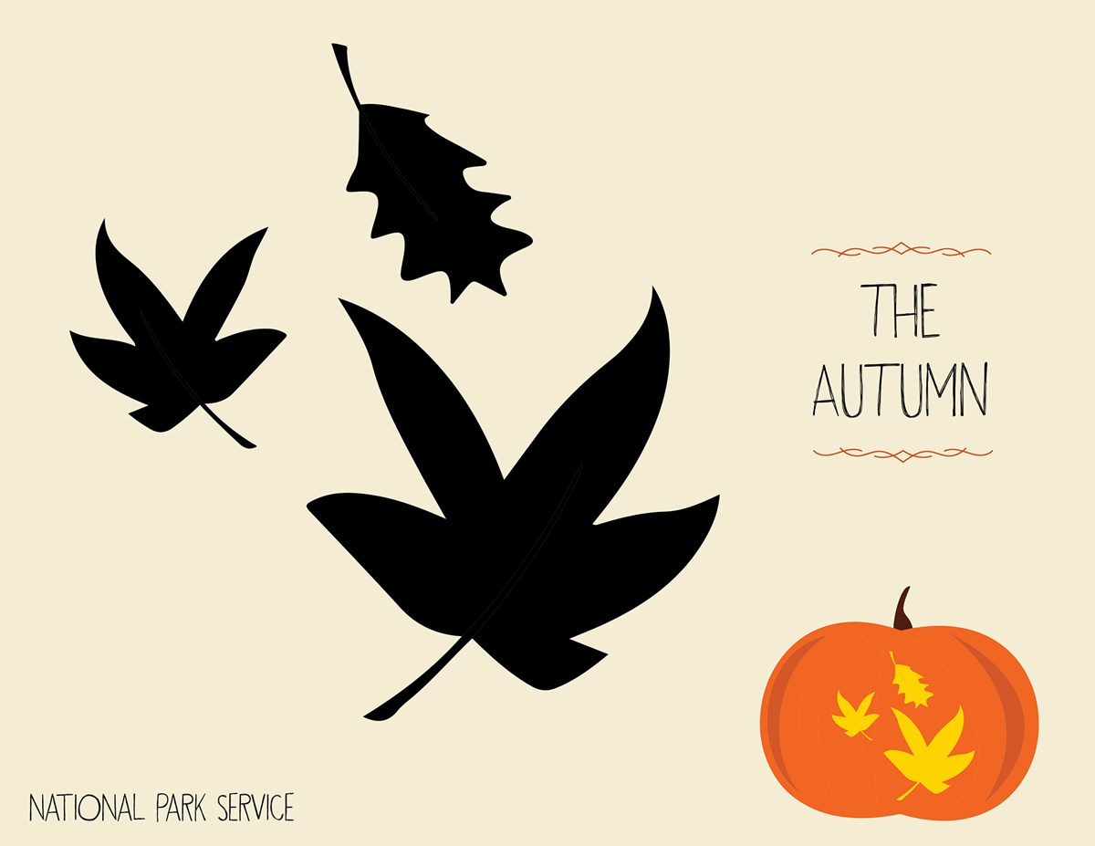 A graphic for a pumpkin carving project with a stencil of 3 fall leaves and an example of it used on a jack o' lantern. Text reads "The Autumn. National Park Service."