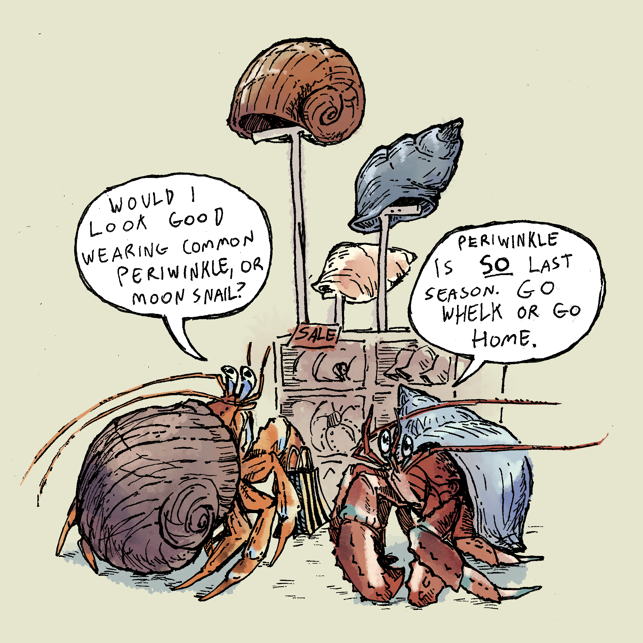 Two illustrated hermit crabs browse for shells as if at a clothing store.