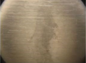 Field observations of typical blemish. Field observations of typical blemish.