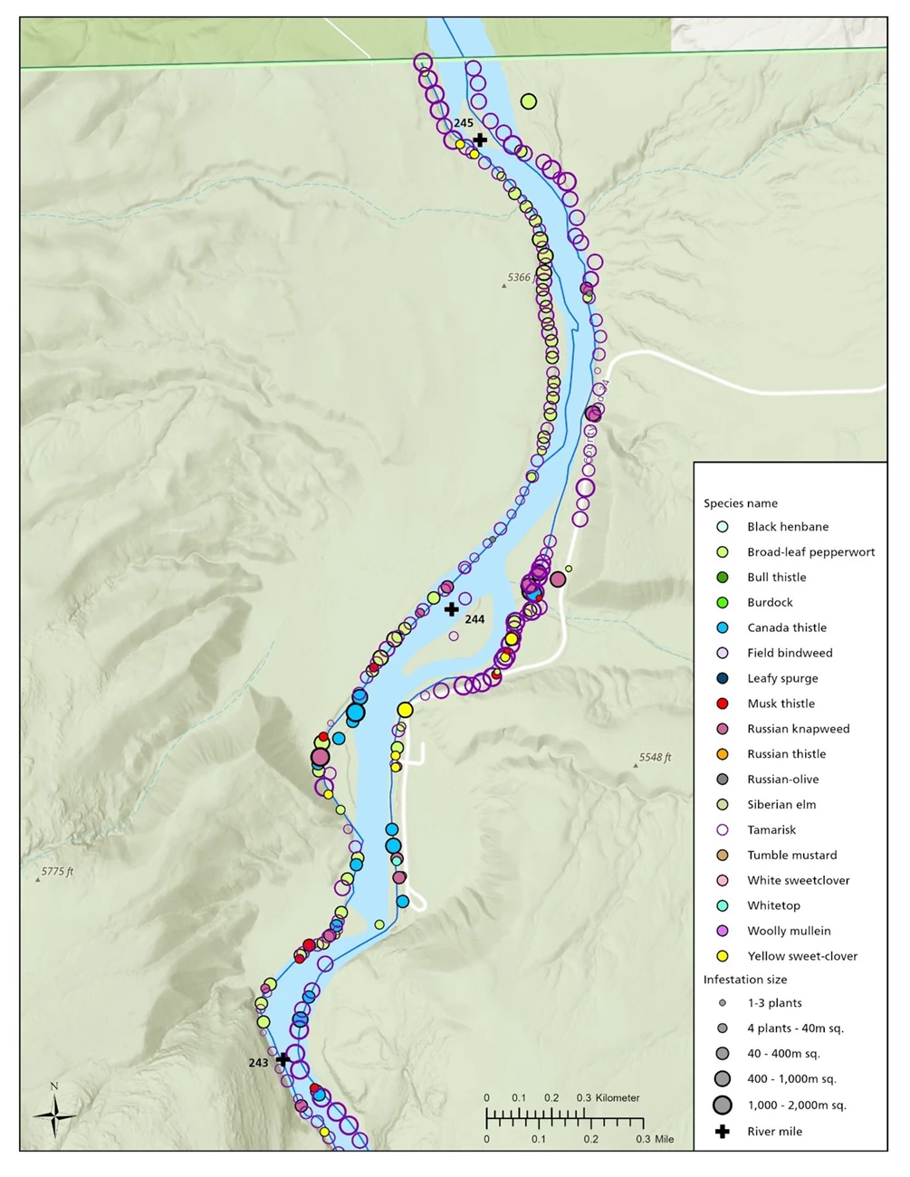 This map illustrates invasive plant detections recorded in August 2023 near Gates of Lodore. Colored circles mark invasive plant locations and infestation sizes along a river corridor.