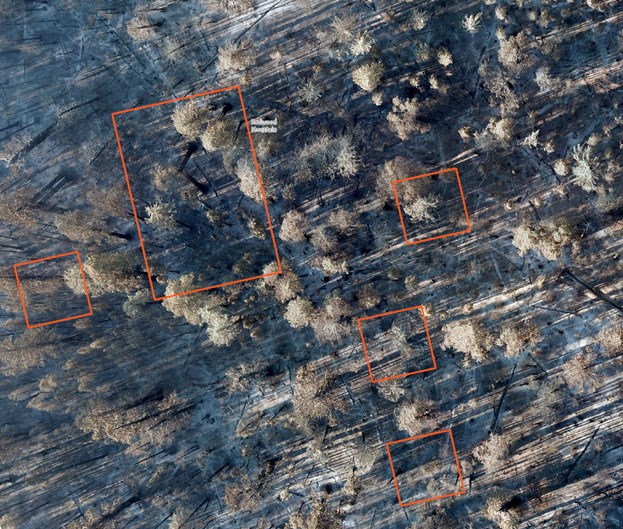 An aerial view of a burned forest with red rectangles and squares outlining specific areas