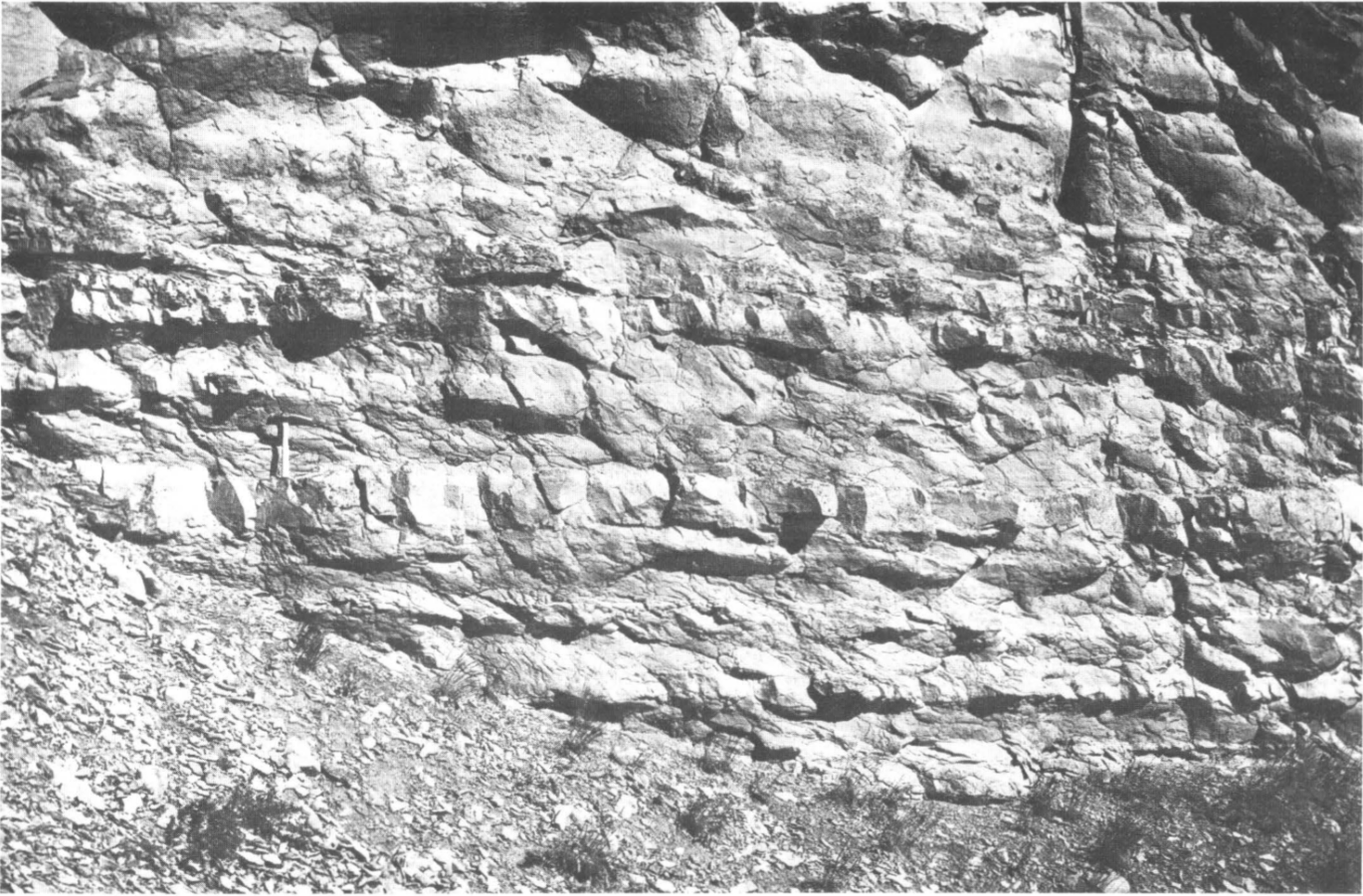 old black and white photo of rock bands in a cliff