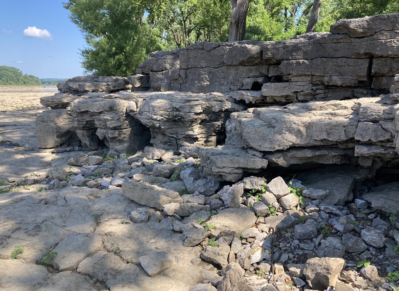 A weathering outcrop of bedded rock.