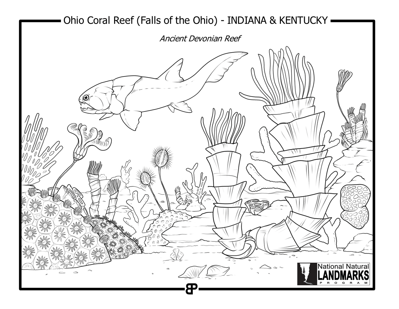 A black-and-white line drawing of ancient life including several kinds of colonial and solitary corals, crinoids (sea lilies), and an armored jawed fish.