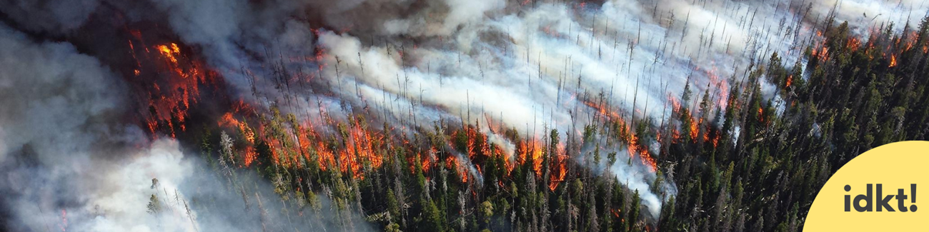 Preparing Fire Safe Communities a fire burns through a forest