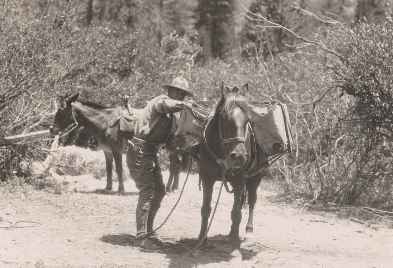 Man standing next to a horse with large canvas saddle bags