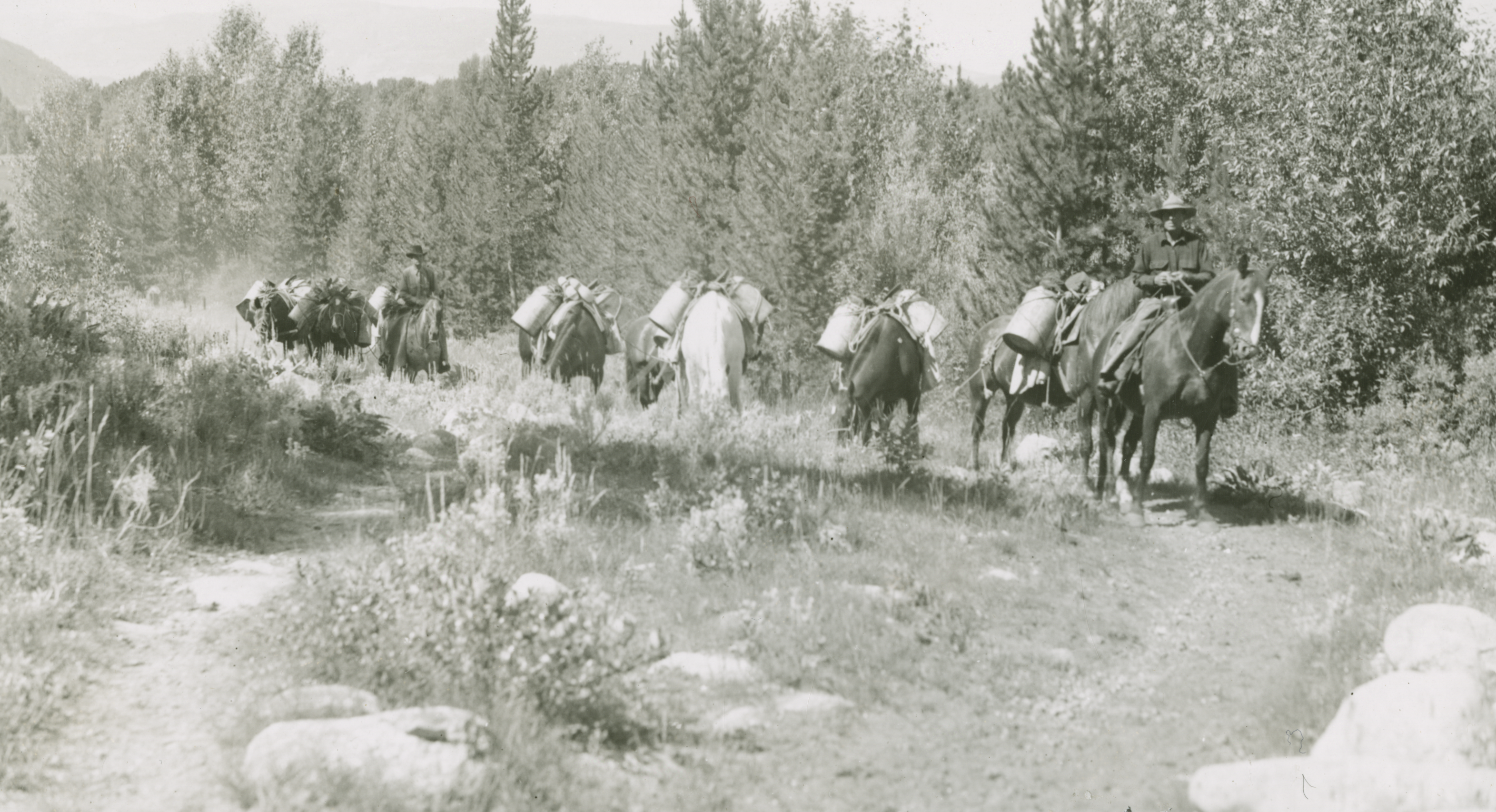Two men on horses ride along a dirt trail with five other horses that carry milk cans strapped to their pack saddles.