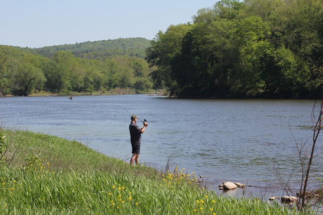 A man standing on a grassy riverbank casts a fishing line into a calm wide river