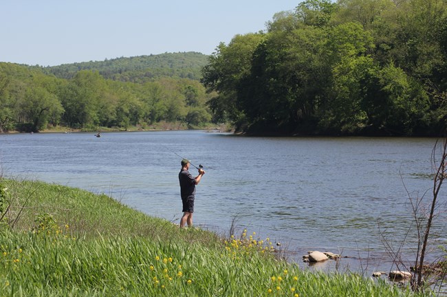 fishing on the Middle Delaware A man standing on a grassy riverbank casts a fishing line into a calm wide river
