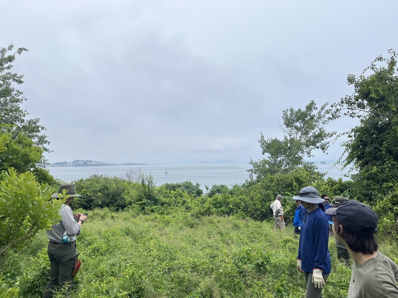 group of people on island admidst overgrown green weeds.