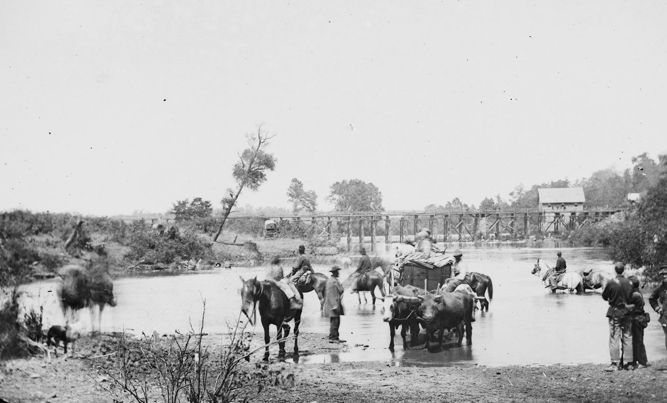 Claiming Freedom Fording Rappahannock A historical photograph of Black Americans crossing a low river.