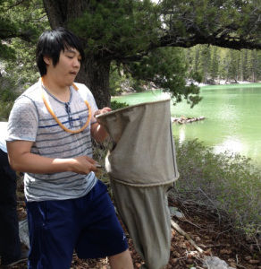 frank sifting Frank sifting for beetles near a lake's edge.