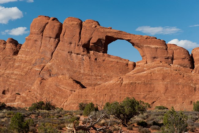 A wall of orange colored rock with a natural stone opening at the top. At the base are green shrubs, and behind is blue sky.